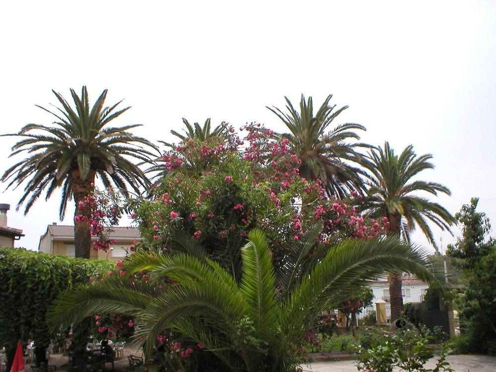 Hostal La Colonial Madrigal de la Vera Ngoại thất bức ảnh